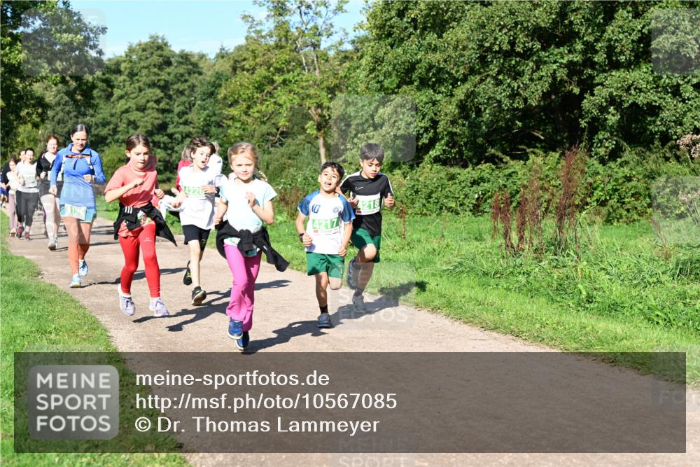 27.09.2026 - 35. Volkslauf durch das schöne Alstertal Dr. Thomas Lammeyer http://msf.ph/oto/10567085 27.09.2026 10:42:01 Laufen 4226, 10, 4218, 4217 meine-sportfotos.de