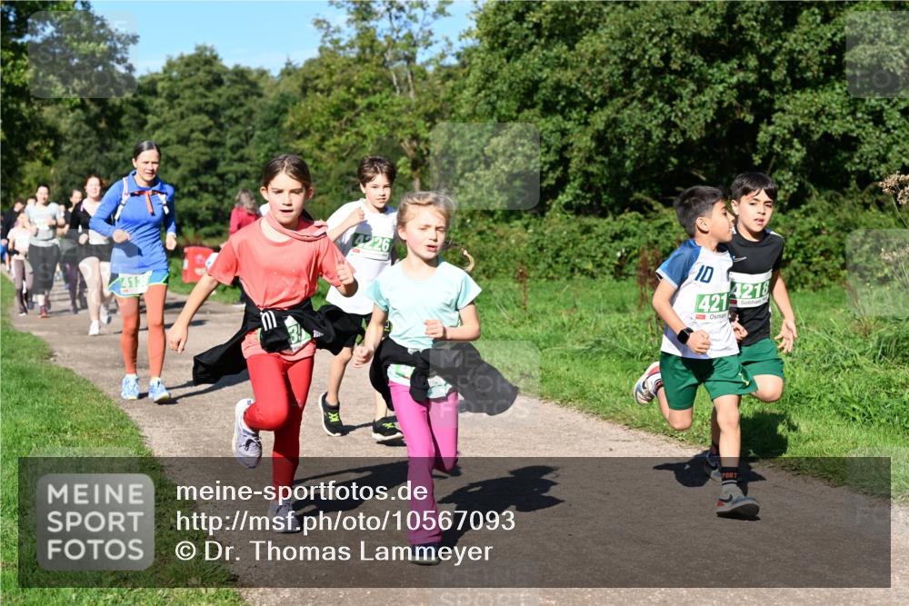 27.09.2026 - 35. Volkslauf durch das schöne Alstertal Dr. Thomas Lammeyer http://msf.ph/oto/10567093 27.09.2026 10:42:02 Laufen 413, 226, 10, 421, 4218 meine-sportfotos.de