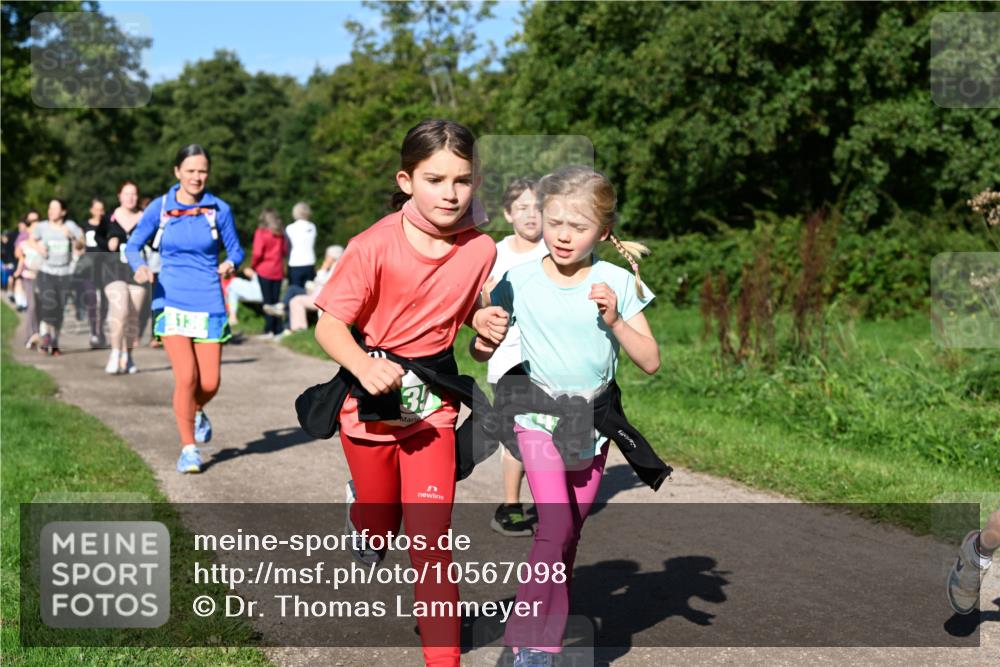 27.09.2026 - 35. Volkslauf durch das schöne Alstertal Dr. Thomas Lammeyer http://msf.ph/oto/10567098 27.09.2026 10:42:02 Laufen 3 meine-sportfotos.de