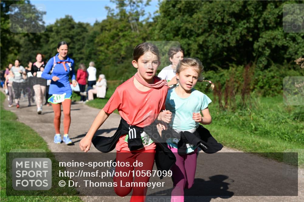 27.09.2026 - 35. Volkslauf durch das schöne Alstertal Dr. Thomas Lammeyer http://msf.ph/oto/10567099 27.09.2026 10:42:02 Laufen 3 meine-sportfotos.de