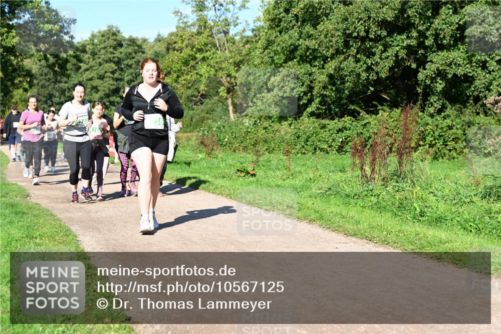 27.09.2026 - 35. Volkslauf durch das schöne Alstertal Dr. Thomas Lammeyer http://msf.ph/oto/10567125 27.09.2026 10:42:05 Laufen 238, 4168 meine-sportfotos.de