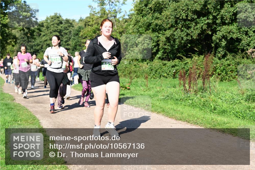 27.09.2026 - 35. Volkslauf durch das schöne Alstertal Dr. Thomas Lammeyer http://msf.ph/oto/10567136 27.09.2026 10:42:06 Laufen  meine-sportfotos.de