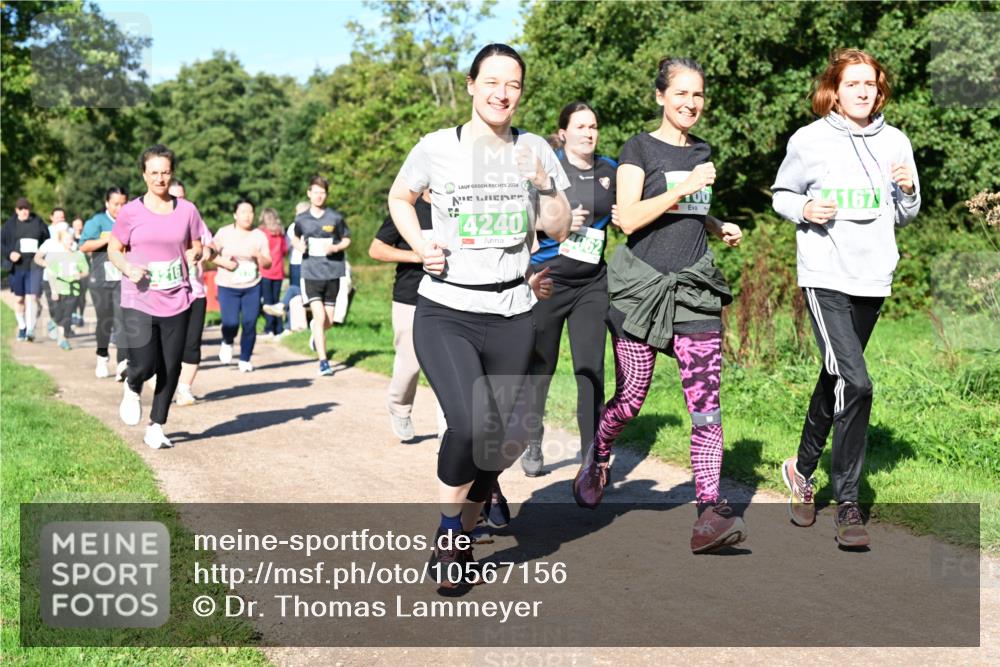27.09.2026 - 35. Volkslauf durch das schöne Alstertal Dr. Thomas Lammeyer http://msf.ph/oto/10567156 27.09.2026 10:42:09 Laufen 2026, 4240, 100, 4167 meine-sportfotos.de