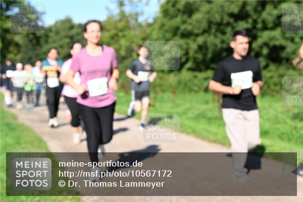 27.09.2026 - 35. Volkslauf durch das schöne Alstertal Dr. Thomas Lammeyer http://msf.ph/oto/10567172 27.09.2026 10:42:10 Laufen  meine-sportfotos.de