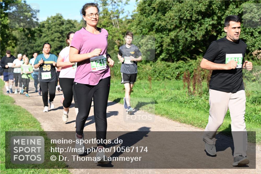 27.09.2026 - 35. Volkslauf durch das schöne Alstertal Dr. Thomas Lammeyer http://msf.ph/oto/10567174 27.09.2026 10:42:11 Laufen 178, 4216, 19 meine-sportfotos.de