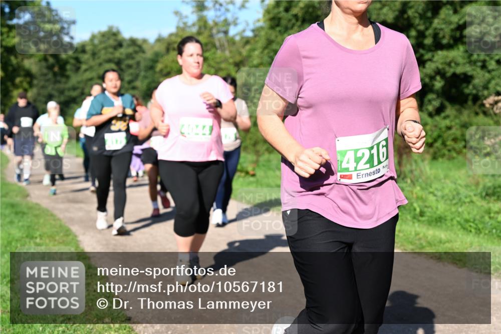 27.09.2026 - 35. Volkslauf durch das schöne Alstertal Dr. Thomas Lammeyer http://msf.ph/oto/10567181 27.09.2026 10:42:12 Laufen  meine-sportfotos.de