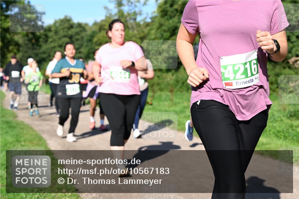 27.09.2026 - 35. Volkslauf durch das schöne Alstertal Dr. Thomas Lammeyer http://msf.ph/oto/10567183 27.09.2026 10:42:12 Laufen 4216 meine-sportfotos.de