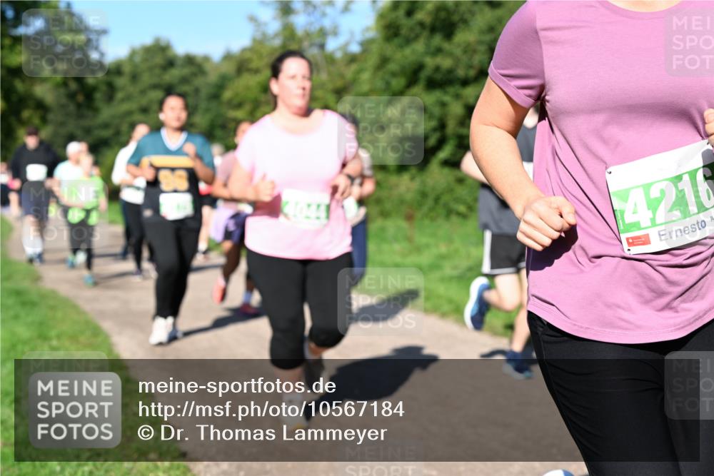 27.09.2026 - 35. Volkslauf durch das schöne Alstertal Dr. Thomas Lammeyer http://msf.ph/oto/10567184 27.09.2026 10:42:12 Laufen 4216 meine-sportfotos.de