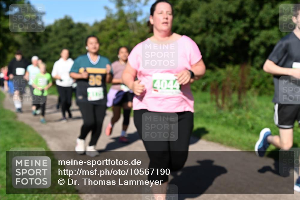 27.09.2026 - 35. Volkslauf durch das schöne Alstertal Dr. Thomas Lammeyer http://msf.ph/oto/10567190 27.09.2026 10:42:13 Laufen  meine-sportfotos.de