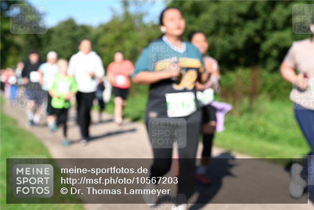 27.09.2026 - 35. Volkslauf durch das schöne Alstertal Dr. Thomas Lammeyer http://msf.ph/oto/10567203 27.09.2026 10:42:14 Laufen  meine-sportfotos.de