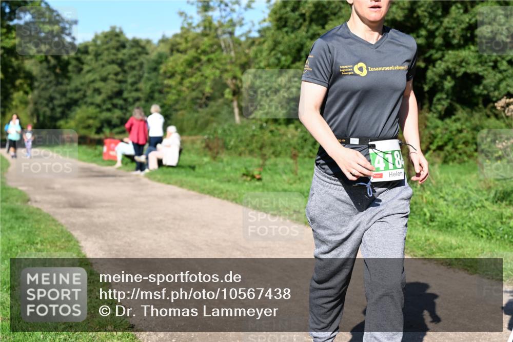 27.09.2026 - 35. Volkslauf durch das schöne Alstertal Dr. Thomas Lammeyer http://msf.ph/oto/10567438 27.09.2026 10:42:41 Laufen 418 meine-sportfotos.de