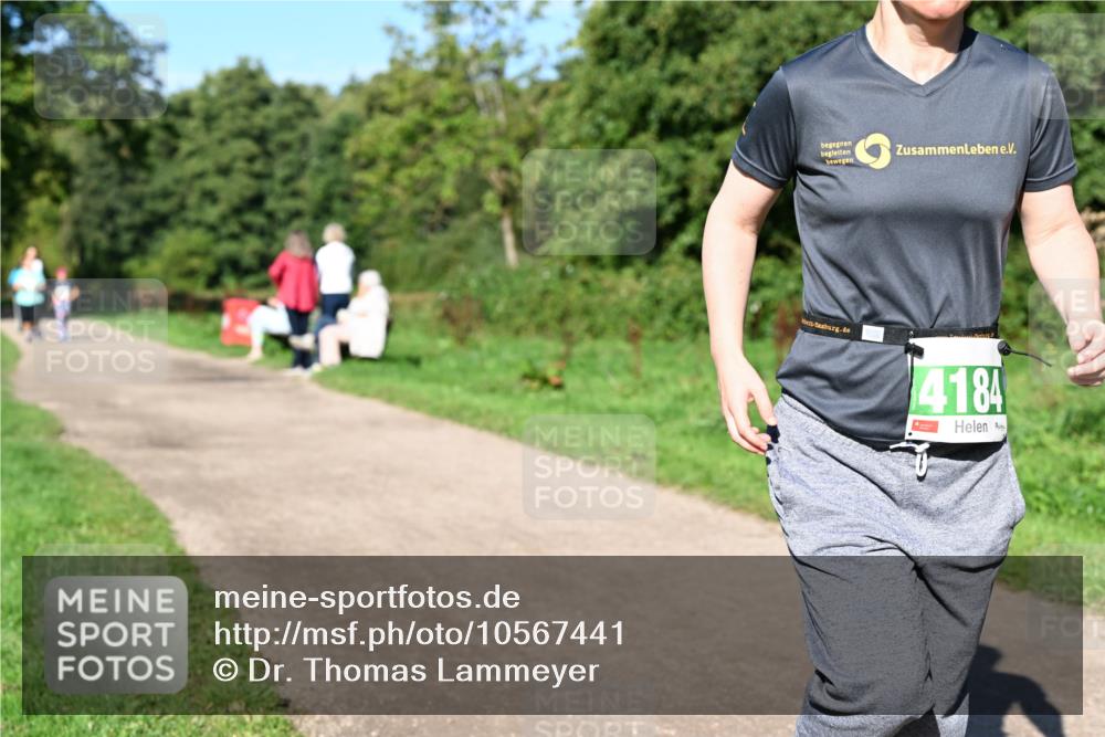 27.09.2026 - 35. Volkslauf durch das schöne Alstertal Dr. Thomas Lammeyer http://msf.ph/oto/10567441 27.09.2026 10:42:41 Laufen 4184 meine-sportfotos.de