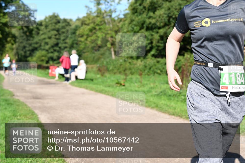 27.09.2026 - 35. Volkslauf durch das schöne Alstertal Dr. Thomas Lammeyer http://msf.ph/oto/10567442 27.09.2026 10:42:41 Laufen 4184 meine-sportfotos.de