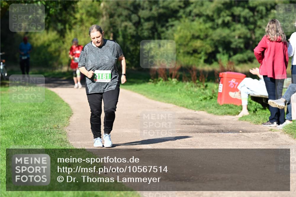 27.09.2026 - 35. Volkslauf durch das schöne Alstertal Dr. Thomas Lammeyer http://msf.ph/oto/10567514 27.09.2026 10:43:10 Laufen 4181, 167 meine-sportfotos.de