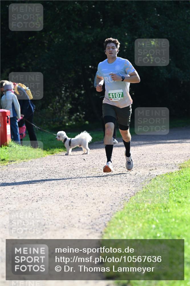 27.09.2026 - 35. Volkslauf durch das schöne Alstertal Dr. Thomas Lammeyer http://msf.ph/oto/10567636 27.09.2026 10:46:58 Laufen 4107 meine-sportfotos.de
