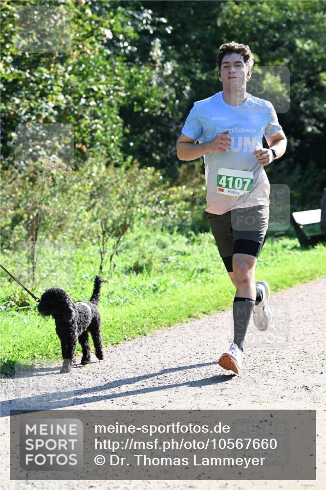 27.09.2026 - 35. Volkslauf durch das schöne Alstertal Dr. Thomas Lammeyer http://msf.ph/oto/10567660 27.09.2026 10:47:01 Laufen 4107 meine-sportfotos.de