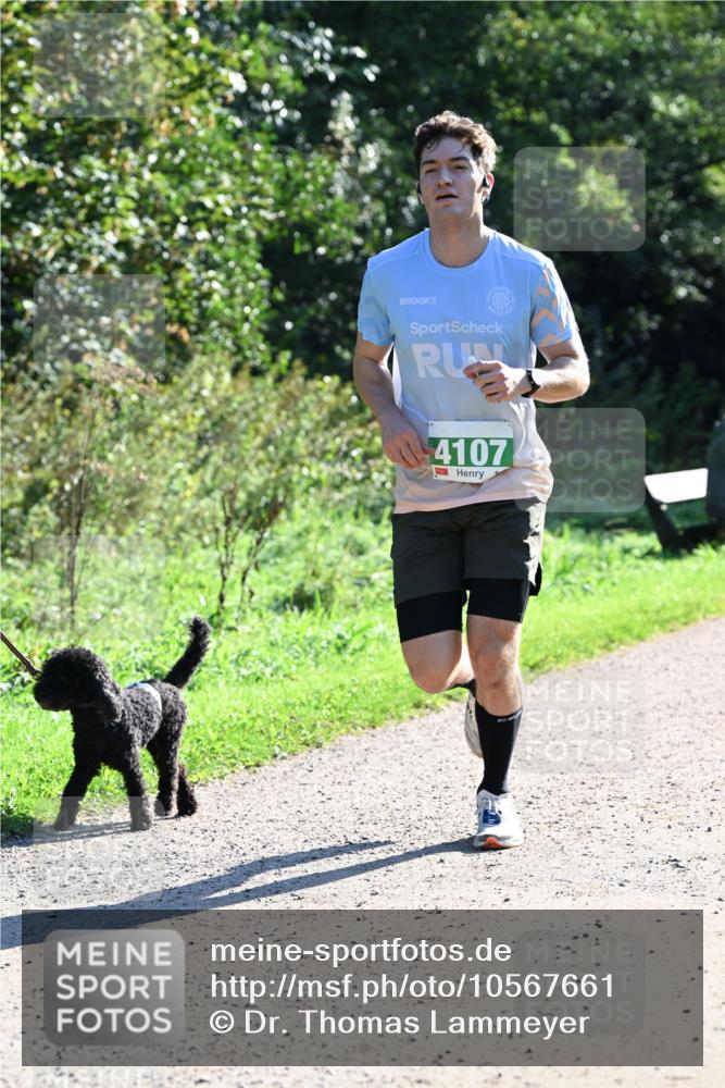 27.09.2026 - 35. Volkslauf durch das schöne Alstertal Dr. Thomas Lammeyer http://msf.ph/oto/10567661 27.09.2026 10:47:01 Laufen 4107 meine-sportfotos.de