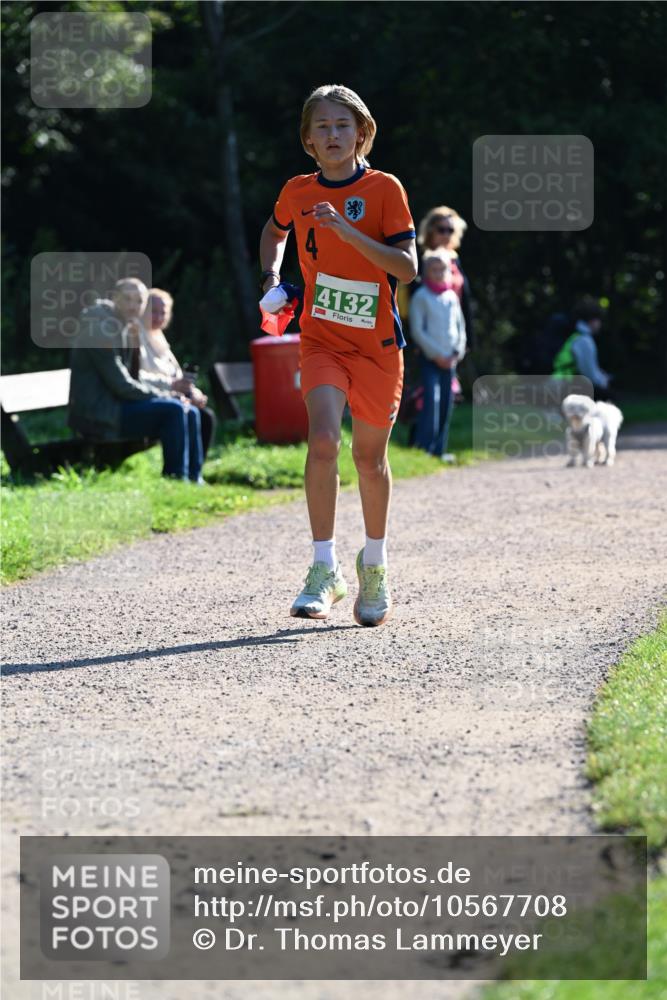 27.09.2026 - 35. Volkslauf durch das schöne Alstertal Dr. Thomas Lammeyer http://msf.ph/oto/10567708 27.09.2026 10:47:44 Laufen 4132 meine-sportfotos.de
