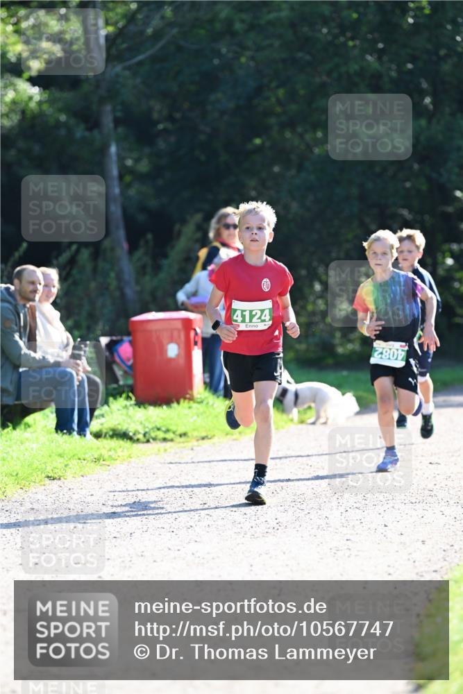 27.09.2026 - 35. Volkslauf durch das schöne Alstertal Dr. Thomas Lammeyer http://msf.ph/oto/10567747 27.09.2026 10:48:20 Laufen 4124, 2807 meine-sportfotos.de