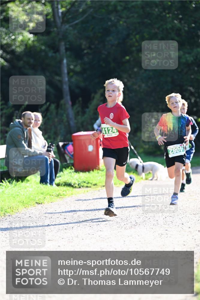 27.09.2026 - 35. Volkslauf durch das schöne Alstertal Dr. Thomas Lammeyer http://msf.ph/oto/10567749 27.09.2026 10:48:21 Laufen 4124, 4082 meine-sportfotos.de