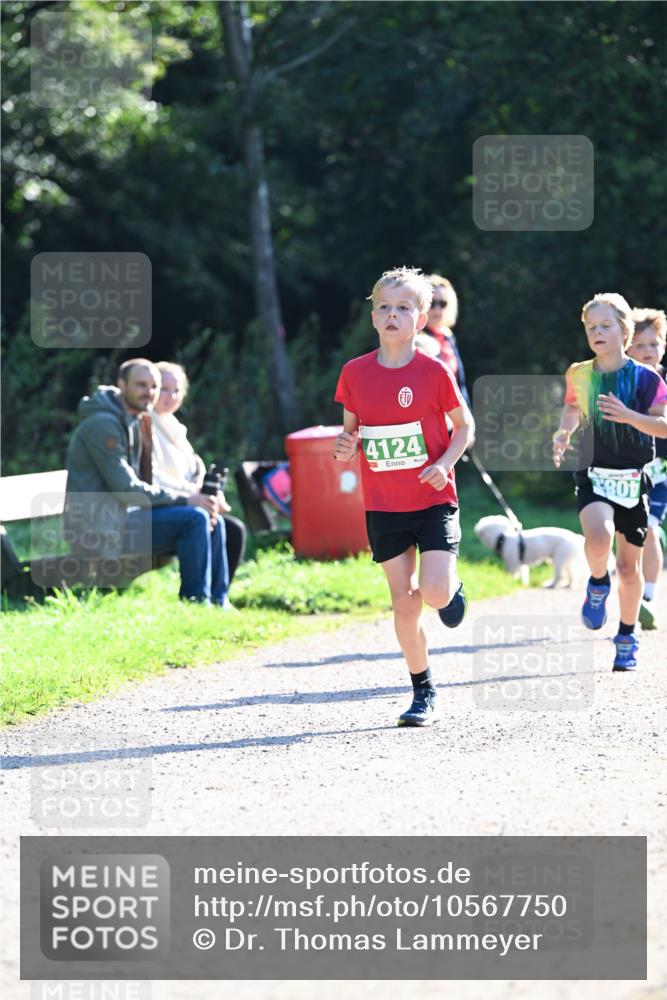27.09.2026 - 35. Volkslauf durch das schöne Alstertal Dr. Thomas Lammeyer http://msf.ph/oto/10567750 27.09.2026 10:48:21 Laufen 4124, 801 meine-sportfotos.de