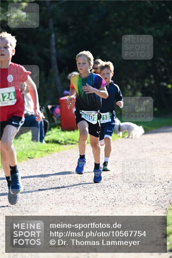 27.09.2026 - 35. Volkslauf durch das schöne Alstertal Dr. Thomas Lammeyer http://msf.ph/oto/10567754 27.09.2026 10:48:22 Laufen 124, 801, 18 meine-sportfotos.de