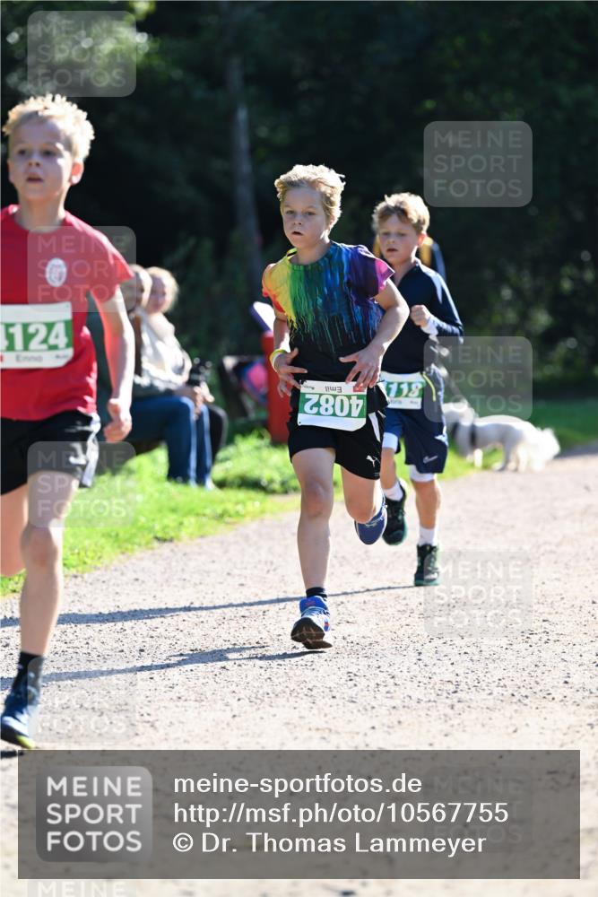27.09.2026 - 35. Volkslauf durch das schöne Alstertal Dr. Thomas Lammeyer http://msf.ph/oto/10567755 27.09.2026 10:48:22 Laufen 124, 4082, 118 meine-sportfotos.de