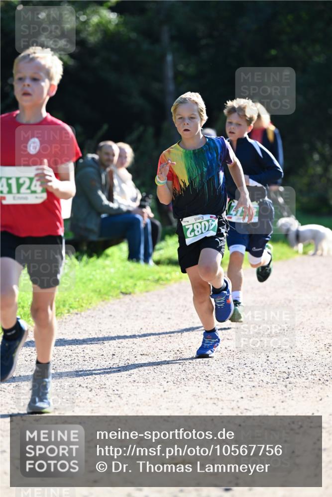 27.09.2026 - 35. Volkslauf durch das schöne Alstertal Dr. Thomas Lammeyer http://msf.ph/oto/10567756 27.09.2026 10:48:22 Laufen 4124, 4082 meine-sportfotos.de