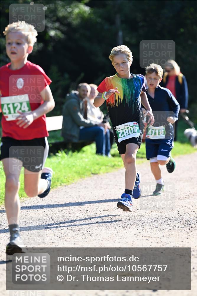 27.09.2026 - 35. Volkslauf durch das schöne Alstertal Dr. Thomas Lammeyer http://msf.ph/oto/10567757 27.09.2026 10:48:22 Laufen 4124, 4082, 4118 meine-sportfotos.de