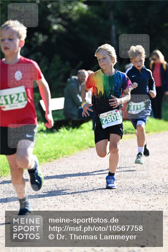 27.09.2026 - 35. Volkslauf durch das schöne Alstertal Dr. Thomas Lammeyer http://msf.ph/oto/10567758 27.09.2026 10:48:23 Laufen 4124, 4082, 4118 meine-sportfotos.de