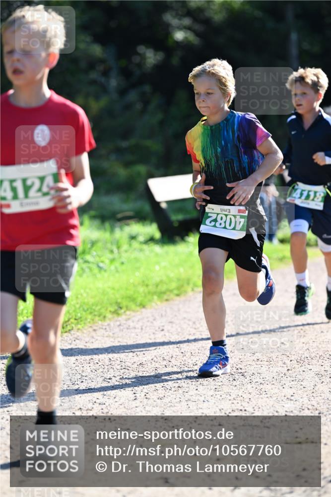 27.09.2026 - 35. Volkslauf durch das schöne Alstertal Dr. Thomas Lammeyer http://msf.ph/oto/10567760 27.09.2026 10:48:23 Laufen 4124, 4082, 4118 meine-sportfotos.de