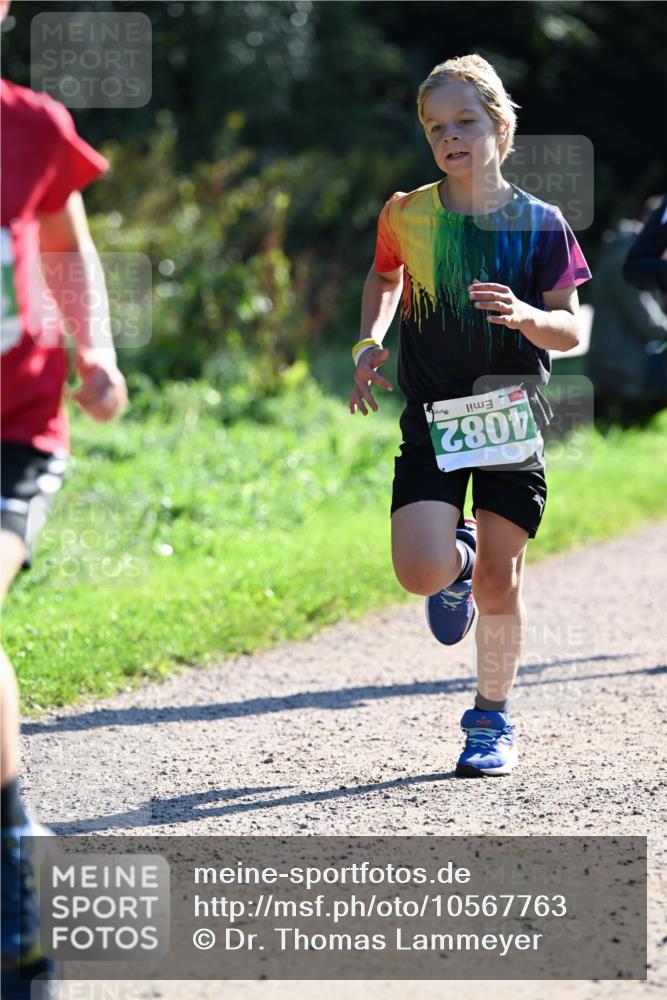 27.09.2026 - 35. Volkslauf durch das schöne Alstertal Dr. Thomas Lammeyer http://msf.ph/oto/10567763 27.09.2026 10:48:23 Laufen 4082 meine-sportfotos.de