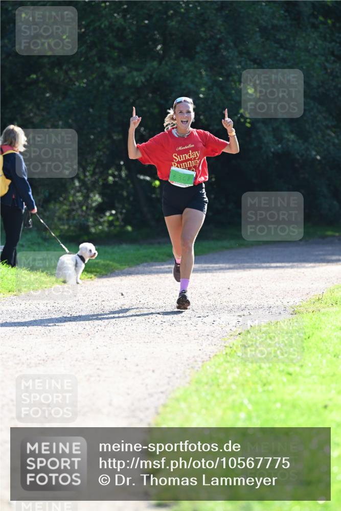 27.09.2026 - 34. Volkslauf durch das schöne Alstertal Dr. Thomas Lammeyer http://msf.ph/oto/10567775 27.09.2026 10:48:34 Laufen 3681 meine-sportfotos.de