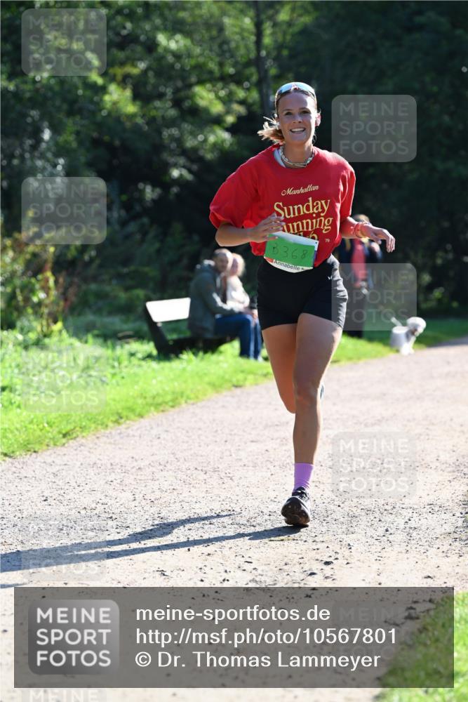 27.09.2026 - 35. Volkslauf durch das schöne Alstertal Dr. Thomas Lammeyer http://msf.ph/oto/10567801 27.09.2026 10:48:37 Laufen 8368 meine-sportfotos.de