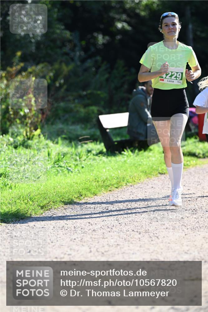 27.09.2026 - 35. Volkslauf durch das schöne Alstertal Dr. Thomas Lammeyer http://msf.ph/oto/10567820 27.09.2026 10:48:45 Laufen 229 meine-sportfotos.de
