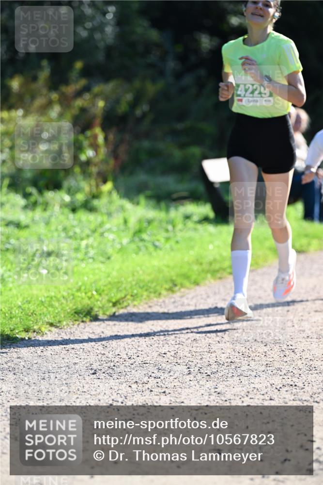 27.09.2026 - 35. Volkslauf durch das schöne Alstertal Dr. Thomas Lammeyer http://msf.ph/oto/10567823 27.09.2026 10:48:45 Laufen 4229 meine-sportfotos.de