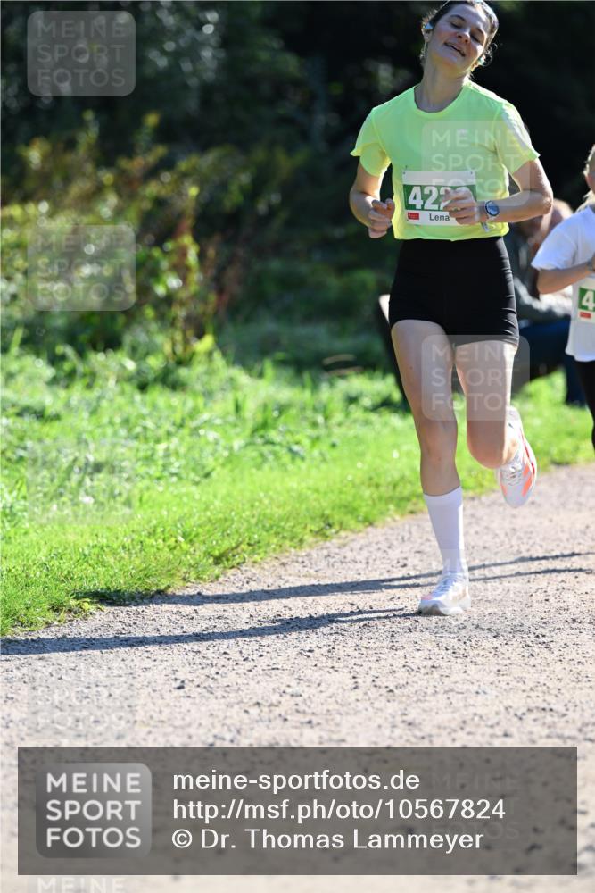 27.09.2026 - 35. Volkslauf durch das schöne Alstertal Dr. Thomas Lammeyer http://msf.ph/oto/10567824 27.09.2026 10:48:45 Laufen 422 meine-sportfotos.de