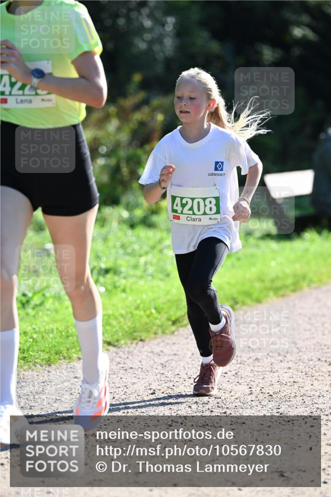 27.09.2026 - 35. Volkslauf durch das schöne Alstertal Dr. Thomas Lammeyer http://msf.ph/oto/10567830 27.09.2026 10:48:47 Laufen 4245, 4208 meine-sportfotos.de