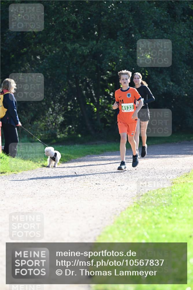 27.09.2026 - 34. Volkslauf durch das schöne Alstertal Dr. Thomas Lammeyer http://msf.ph/oto/10567837 27.09.2026 10:49:02 Laufen 4133 meine-sportfotos.de