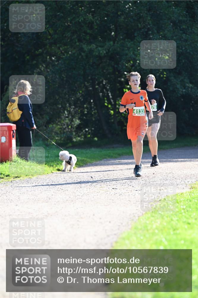 27.09.2026 - 35. Volkslauf durch das schöne Alstertal Dr. Thomas Lammeyer http://msf.ph/oto/10567839 27.09.2026 10:49:02 Laufen 4133, 76 meine-sportfotos.de