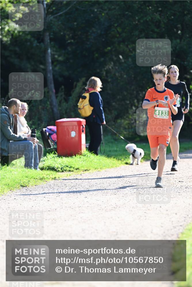 27.09.2026 - 35. Volkslauf durch das schöne Alstertal Dr. Thomas Lammeyer http://msf.ph/oto/10567850 27.09.2026 10:49:03 Laufen 4133 meine-sportfotos.de