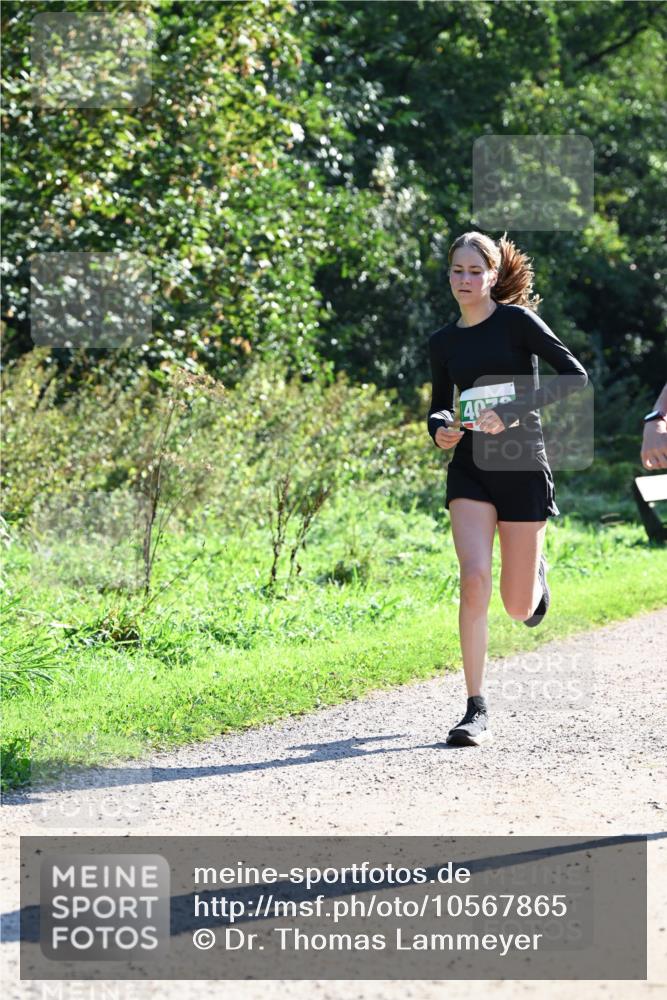 27.09.2026 - 35. Volkslauf durch das schöne Alstertal Dr. Thomas Lammeyer http://msf.ph/oto/10567865 27.09.2026 10:49:07 Laufen 402 meine-sportfotos.de