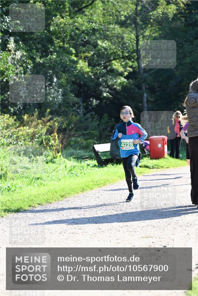 27.09.2026 - 35. Volkslauf durch das schöne Alstertal Dr. Thomas Lammeyer http://msf.ph/oto/10567900 27.09.2026 10:49:26 Laufen 4228 meine-sportfotos.de