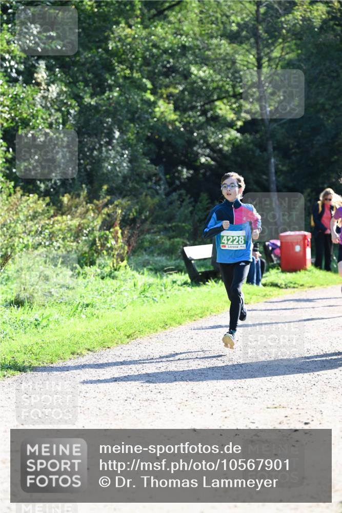 27.09.2026 - 35. Volkslauf durch das schöne Alstertal Dr. Thomas Lammeyer http://msf.ph/oto/10567901 27.09.2026 10:49:26 Laufen 4228 meine-sportfotos.de
