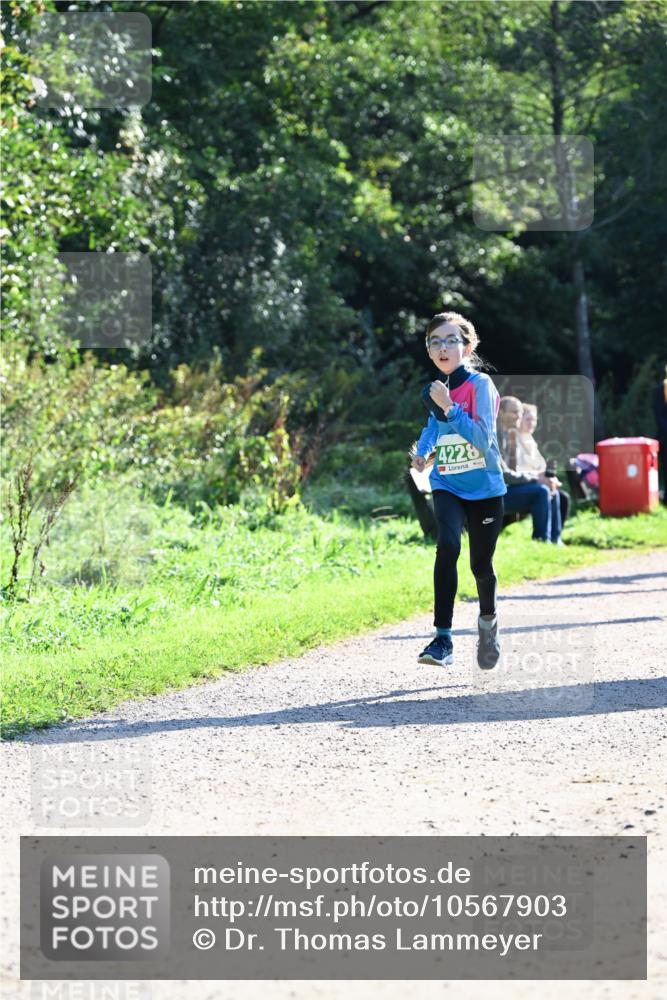 27.09.2026 - 35. Volkslauf durch das schöne Alstertal Dr. Thomas Lammeyer http://msf.ph/oto/10567903 27.09.2026 10:49:26 Laufen 4228 meine-sportfotos.de