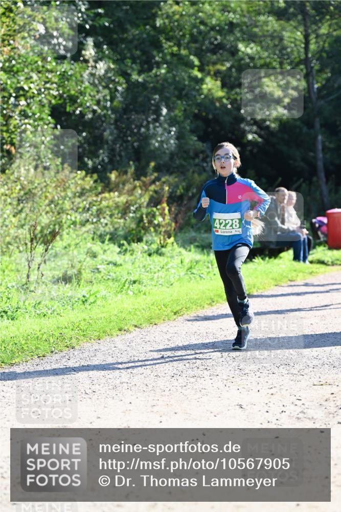 27.09.2026 - 35. Volkslauf durch das schöne Alstertal Dr. Thomas Lammeyer http://msf.ph/oto/10567905 27.09.2026 10:49:27 Laufen 4228 meine-sportfotos.de