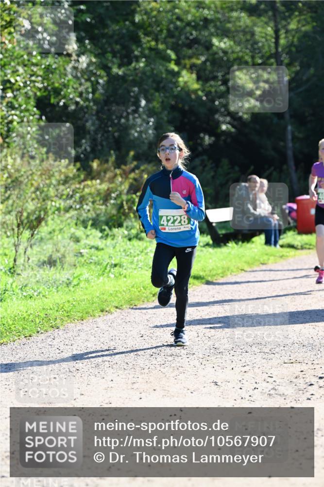 27.09.2026 - 35. Volkslauf durch das schöne Alstertal Dr. Thomas Lammeyer http://msf.ph/oto/10567907 27.09.2026 10:49:27 Laufen 4228 meine-sportfotos.de