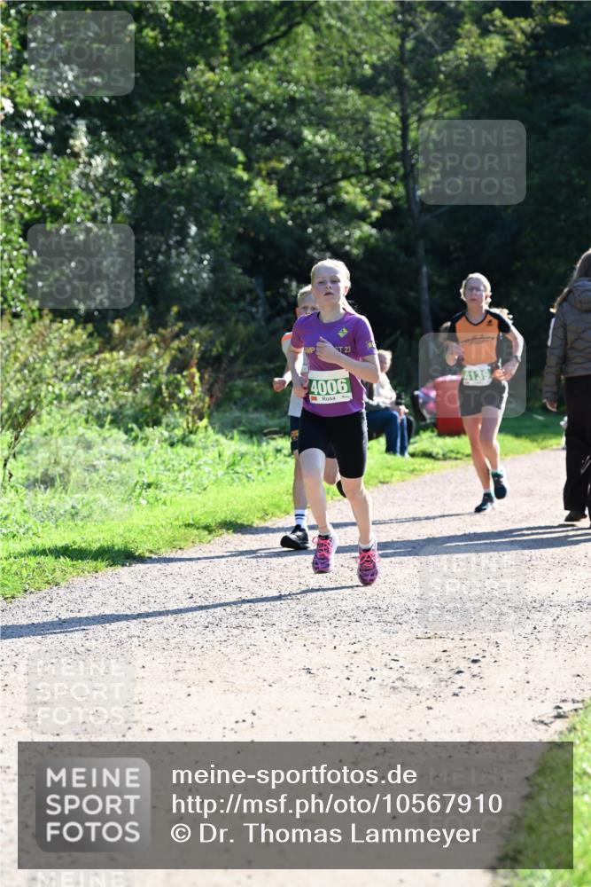 27.09.2026 - 35. Volkslauf durch das schöne Alstertal Dr. Thomas Lammeyer http://msf.ph/oto/10567910 27.09.2026 10:49:28 Laufen 23, 4006, 4139 meine-sportfotos.de