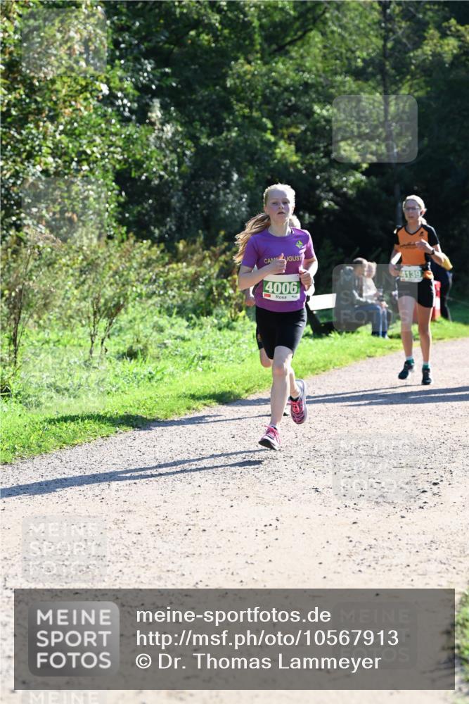 27.09.2026 - 35. Volkslauf durch das schöne Alstertal Dr. Thomas Lammeyer http://msf.ph/oto/10567913 27.09.2026 10:49:29 Laufen 4006, 4139 meine-sportfotos.de