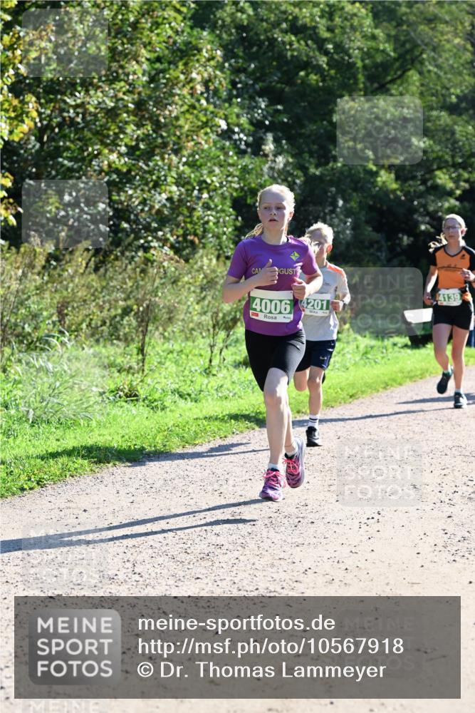 27.09.2026 - 35. Volkslauf durch das schöne Alstertal Dr. Thomas Lammeyer http://msf.ph/oto/10567918 27.09.2026 10:49:29 Laufen 4006, 4201, 4139 meine-sportfotos.de